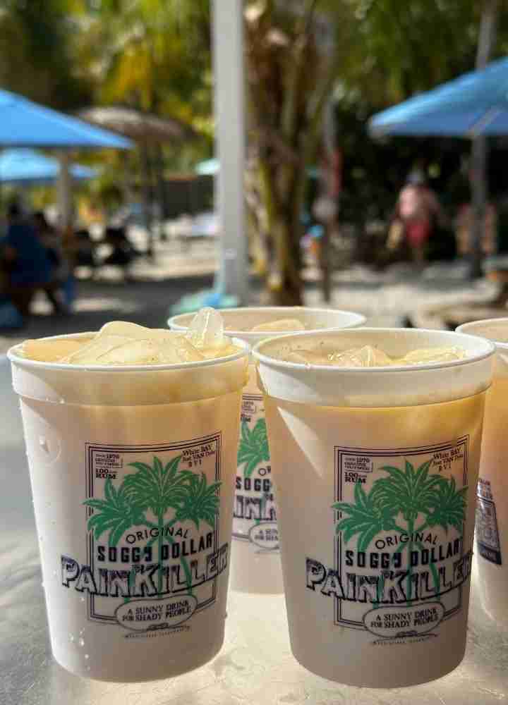 Things To Do Soggy Dollar Bar – Jost Van Dyke, British Virgin Islands